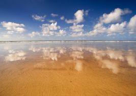 Beaches