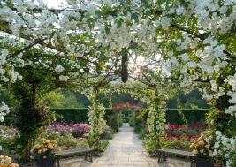 Gardens & Heritage